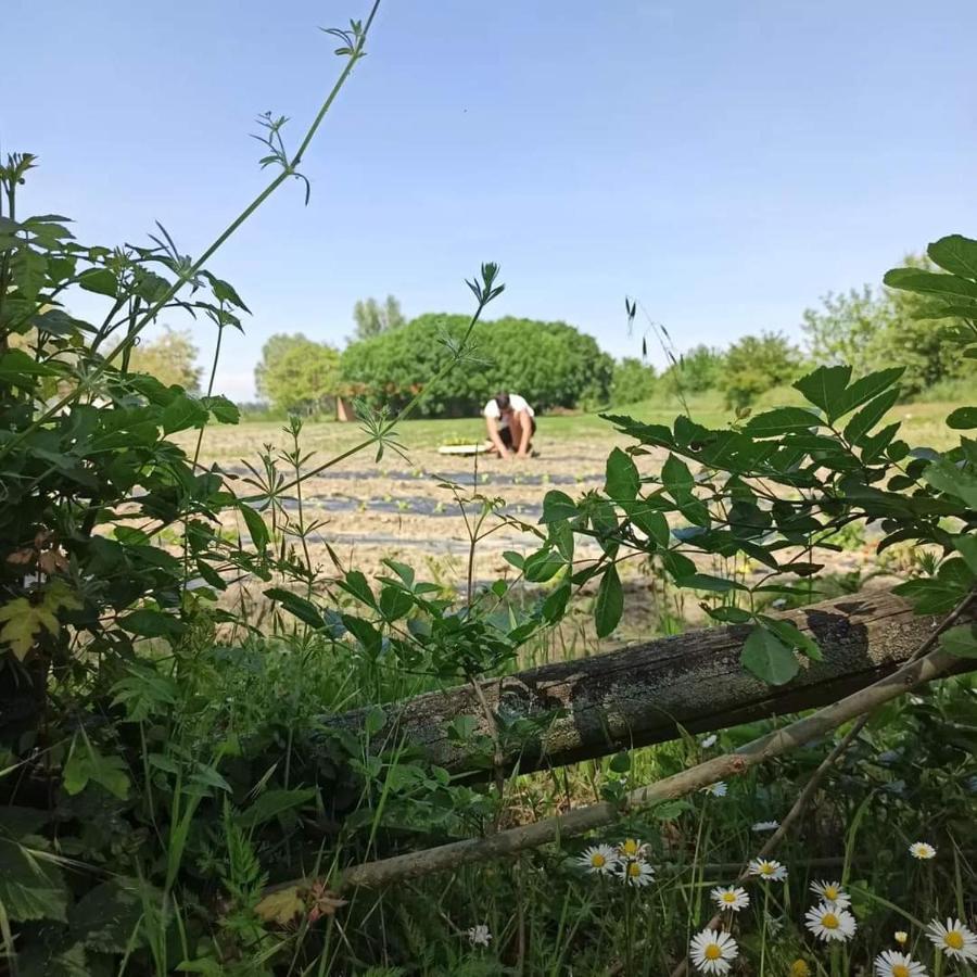Farm stay Agrilocanda Val Campotto Argenta